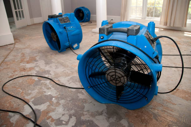 Best Basement water damage restoration  in Uvalde Estates, TX