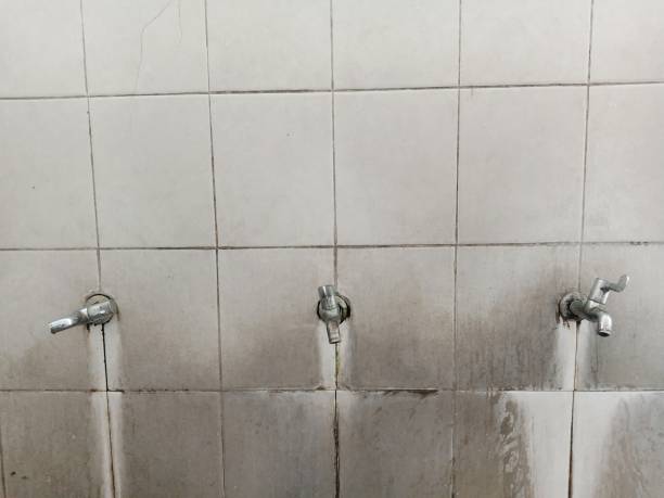 Best Water damage mitigation services  in Uvalde Estates, TX