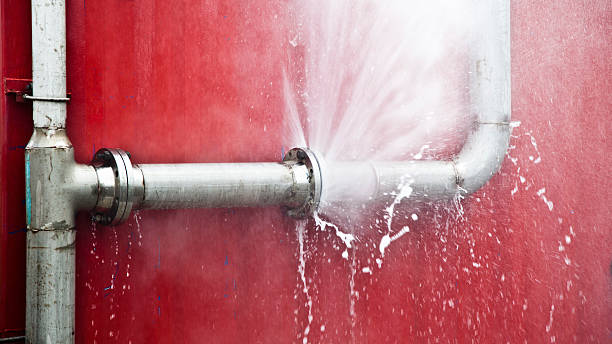 Best Professional water damage repair  in Uvalde Estates, TX